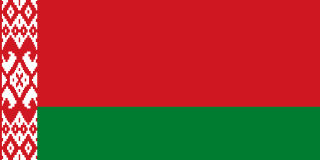 Charms z Flagą Kraju ( Europa )