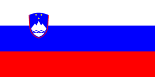 Charms z Flagą Kraju ( Europa )